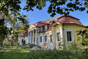 Dom na sprzedaż 1200m2 gostyński Pępowo Skoraszewice - zdjęcie 1