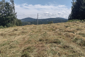 Działka na sprzedaż karkonoski Podgórzyn Zachełmie - zdjęcie 3