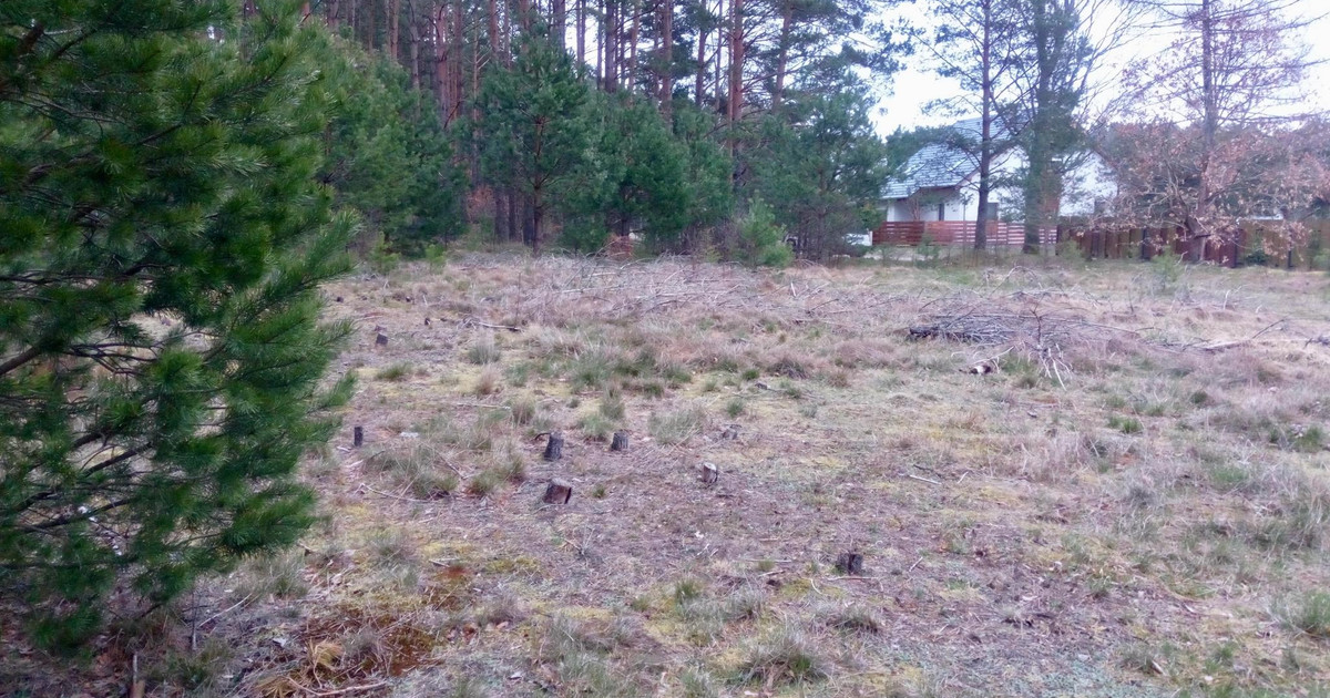 Dzialka budowlana z projektem domu jednorodzinnego