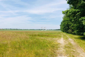 Działka na sprzedaż łaski Łask Wronowice - zdjęcie 1