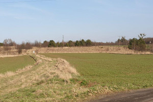 Działka na sprzedaż 2120m2 tarnogórski Miasteczko Śląskie - zdjęcie 1