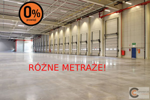 Komercyjne do wynajęcia 3500m2 Rzeszów - zdjęcie 2