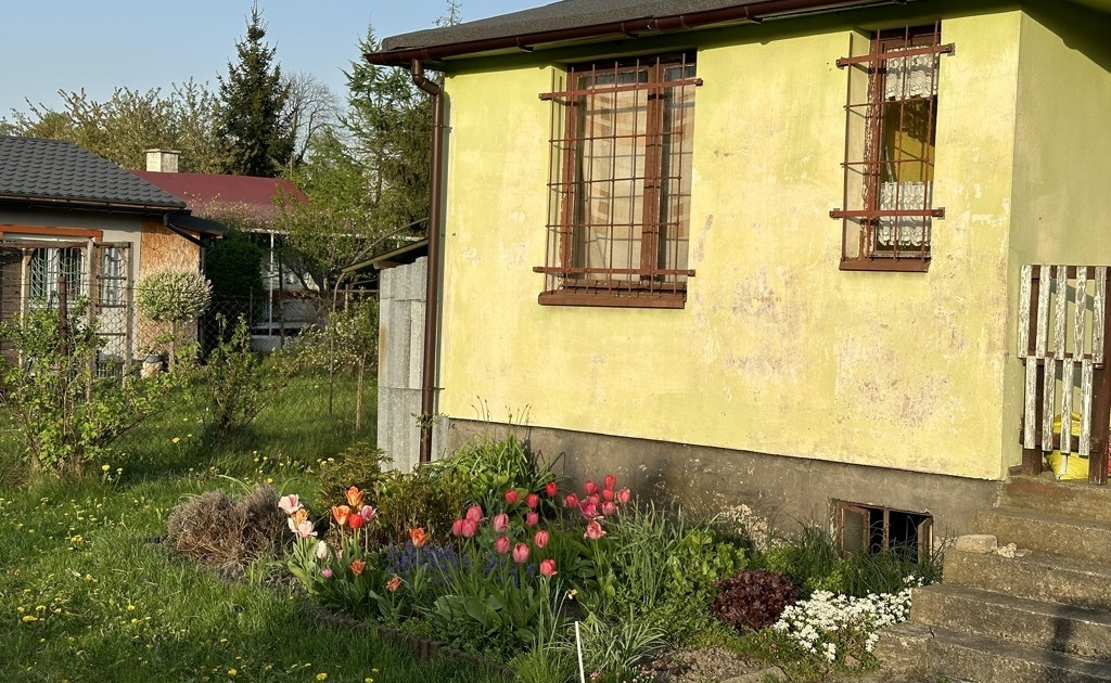 Ogródek działkowy w ROD \"Biała Róża\" Gliwice