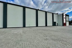 Komercyjne do wynajęcia 560m2 Toruń Bielawy - zdjęcie 3