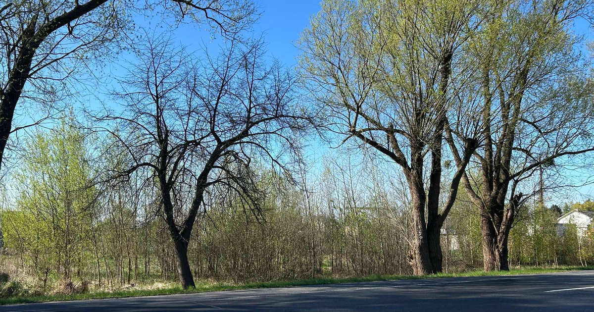 Działka pod budowę biura i hali przy drodze wojewódzkiej