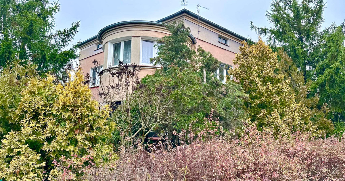 Duży dom przy Dąbrowskiego, pod działalność