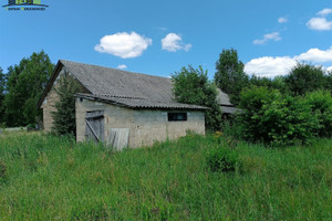 Działka na sprzedaż 9500m2 siemiatycki Nurzec-Stacja Zalesie - zdjęcie 3