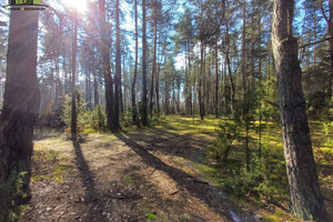 Działka na sprzedaż 62800m2 sokólski Szudziałowo Wojnowce - zdjęcie 1