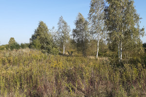 Działka na sprzedaż 4009m2 otwocki Karczew Łukówiec - zdjęcie 1