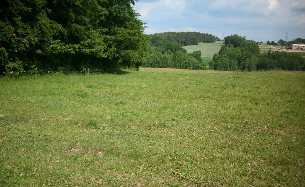 Działka budowlana Przodkowo - Bursztynik