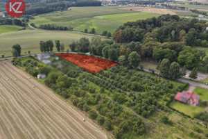 Działka na sprzedaż 3797m2 pilski Miasteczko Krajeńskie Brzostowo - zdjęcie 1