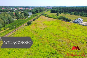 Działka na sprzedaż 10831m2 aleksandrowski Aleksandrów Kujawski Odolion - zdjęcie 1