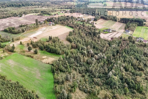 Działka na sprzedaż 30500m2 koniński Kramsk Brzózki - zdjęcie 2