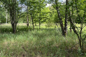 Działka na sprzedaż warszawski zachodni Kampinos Podkampinos - zdjęcie 1