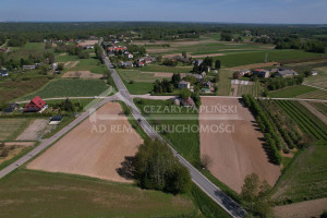 Działka na sprzedaż 4212m2 puławski Kazimierz Dolny Skowieszynek Skowieszynek, Kazimierz Dolny - zdjęcie 3