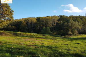 Działka na sprzedaż 1019m2 krakowski Mogilany - zdjęcie 3