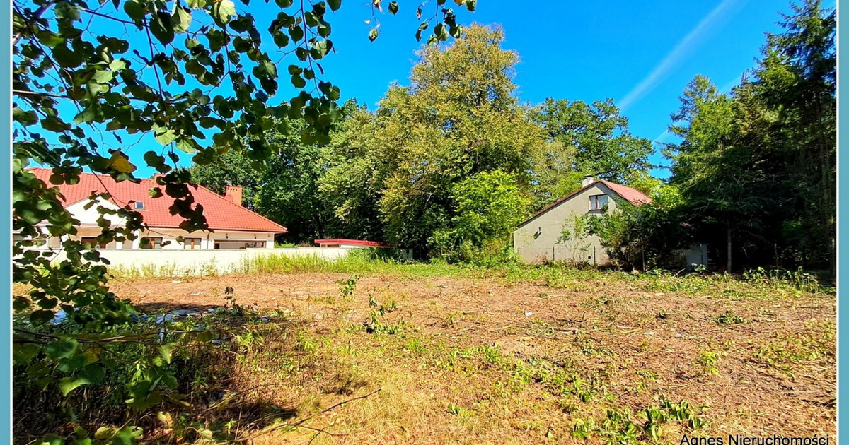 Marki Obok Puszczy Słupeckiej Ostatnia Piękna