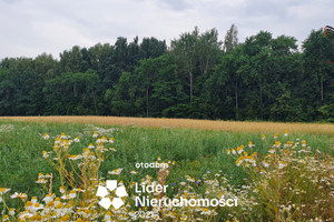 Działka na sprzedaż 1031m2 lubelski Konopnica Motycz - zdjęcie 1