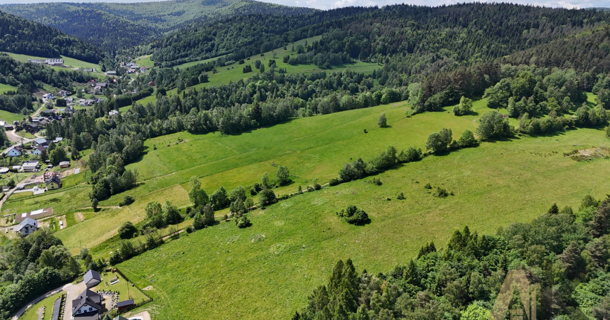 Działka budowlana - Łosie