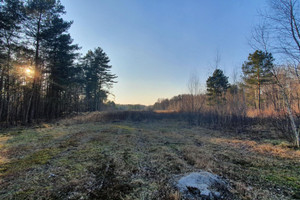 Działka na sprzedaż 3000m2 otwocki Wiązowna Duchnów - zdjęcie 1