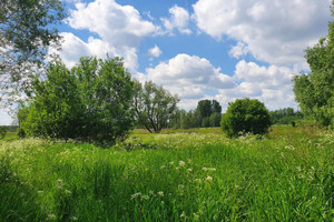 Działka na sprzedaż 7500m2 otwocki Wiązowna Duchnów - zdjęcie 1