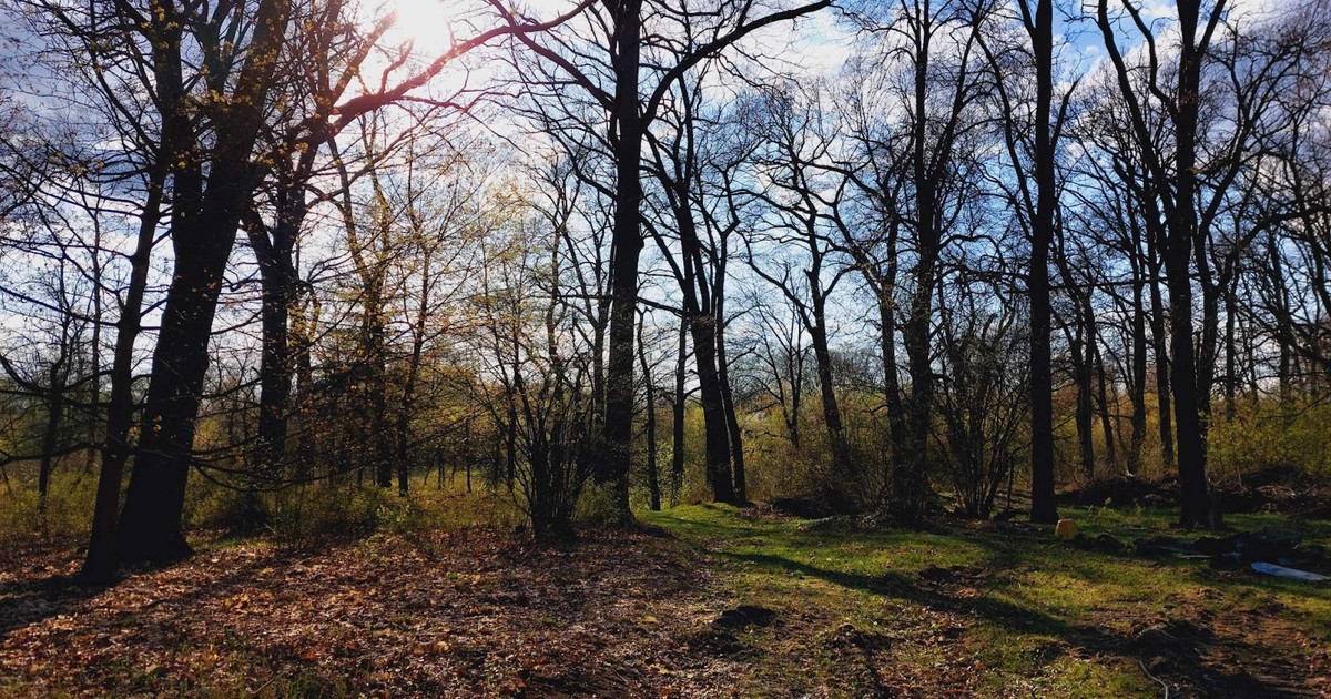 Działka o powierzchni 4060m2 z warunkami zabudowy. w otulinie lasu