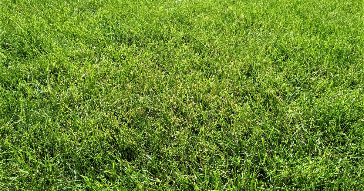 Działka pod budownictwo wielorodzinne PUM 650m2