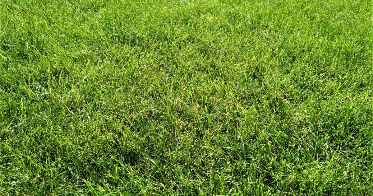 Piękna działka 1200m2