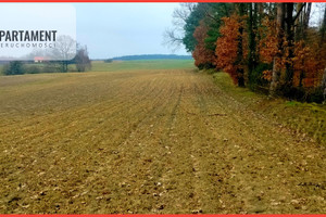 Działka na sprzedaż 3000m2 tucholski Lubiewo Bysław - zdjęcie 3