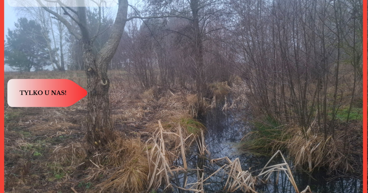 TYLKO U NAS !!! WSERCU BORÓW TUCHOLSKICH