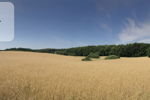 Działka na sprzedaż 28500m2 starogardzki Skarszewy Kamierowskie Piece - zdjęcie 1