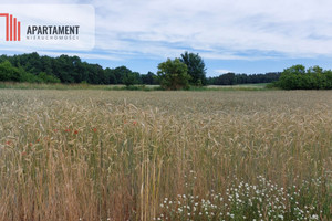 Działka na sprzedaż 1000m2 sępoleński Więcbork Śmiłowo - zdjęcie 2