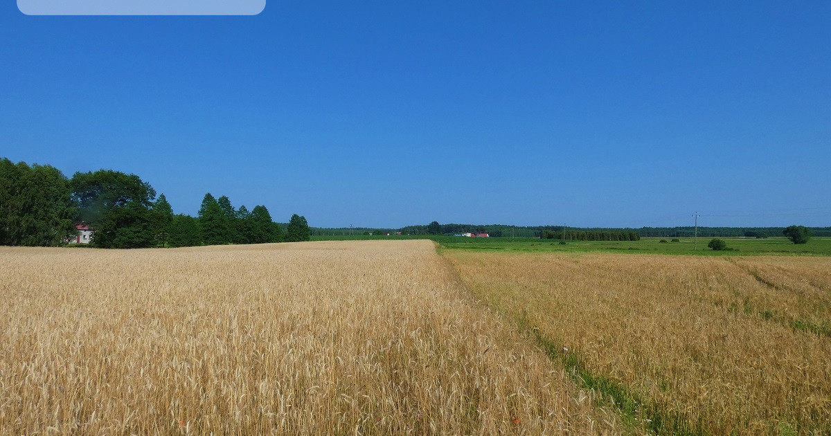 Spokojna okolica. Ładnie położona