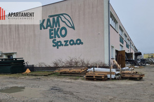 Komercyjne na sprzedaż 2360m2 sępoleński Sępólno Krajeńskie - zdjęcie 3