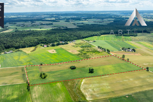 Działka na sprzedaż 4005m2 wejherowski Luzino Tępcz Długa - zdjęcie 1