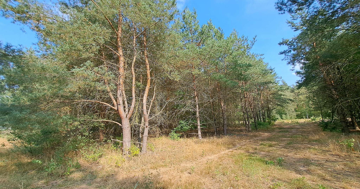 Działka pod zabudowę mieszkaniową