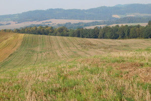 Działka na sprzedaż 291440m2 kłodzki Kłodzko Jaszkowa Dolna - zdjęcie 1