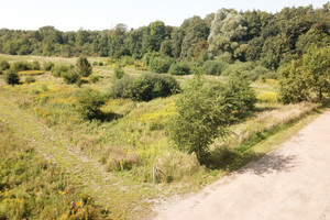 Działka na sprzedaż 1000m2 stargardzki Stargard Żarowo - zdjęcie 2