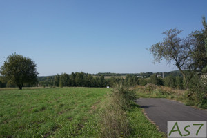 Działka na sprzedaż 2000m2 krakowski Zabierzów Zelków - zdjęcie 1