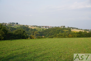 Działka na sprzedaż 2000m2 krakowski Zabierzów Zelków - zdjęcie 1