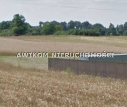 Działki siedliskowe 3400 m2 Pasikonie gm. Kampinos