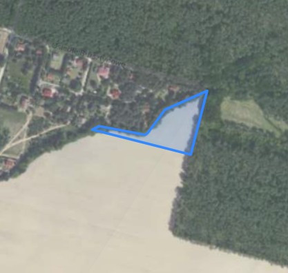 Syndyk sprzeda kompleks działek, częściowo zalesiony