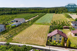 Działka na sprzedaż 3700m2 przysuski Gielniów Zielonka - zdjęcie 3