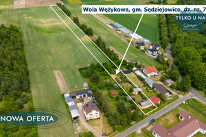 Działka na sprzedaż 3012m2 łaski Sędziejowice Wola Wężykowa - zdjęcie 3
