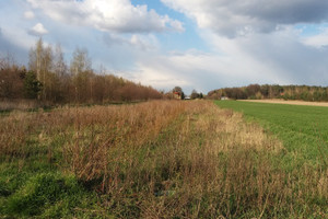 Działka na sprzedaż legionowski Serock Borowa Góra - zdjęcie 1