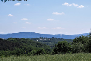 Działka na sprzedaż 11500m2 krakowski Świątniki Górne - zdjęcie 1