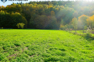 Działka na sprzedaż 2380m2 krakowski Mogilany Konary - zdjęcie 1