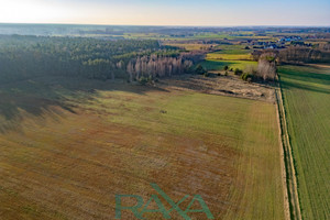 Działka na sprzedaż 12605m2 pułtuski Pokrzywnica Pobyłkowo Małe - zdjęcie 3