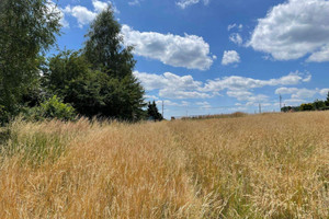 Działka na sprzedaż Mysłowice Kosztowy ZIelnioka - zdjęcie 2