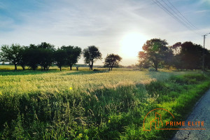 Działka na sprzedaż 250000m2 choszczeński Choszczno Gleźno - zdjęcie 1